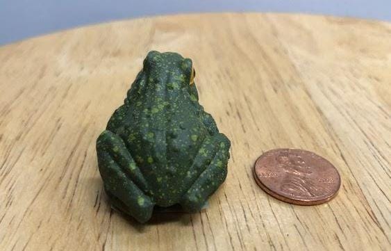 Miniature Green Frog with Yellow Eyes, Fairy Garden Frog, Frog Cake Topper