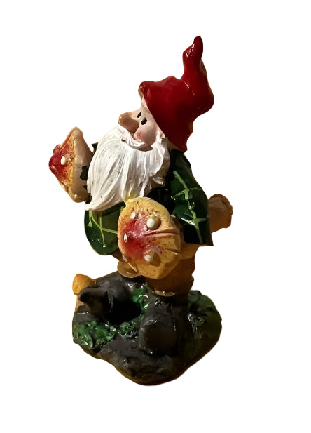Miniature Gnome Standing with 2 Mushrooms, Fairy Garden Gnome, 3