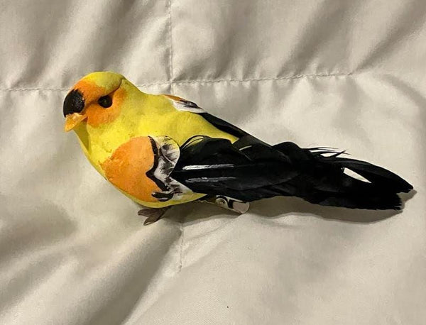 Pair of Yellow, Orange and Black Birds, 4.5