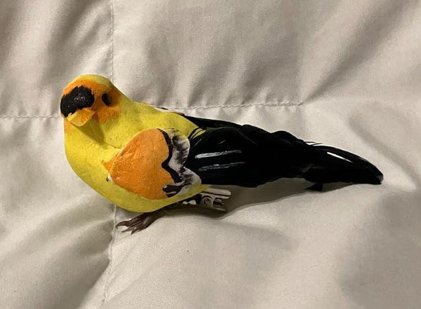 Pair of Yellow, Orange and Black Birds, 4.5