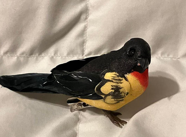 Pair of Black, Red & Yellow Birds, 4.5