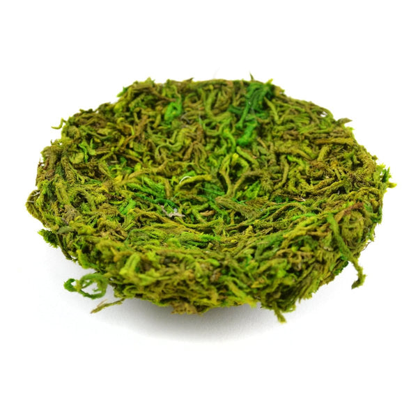 Green Moss Nest