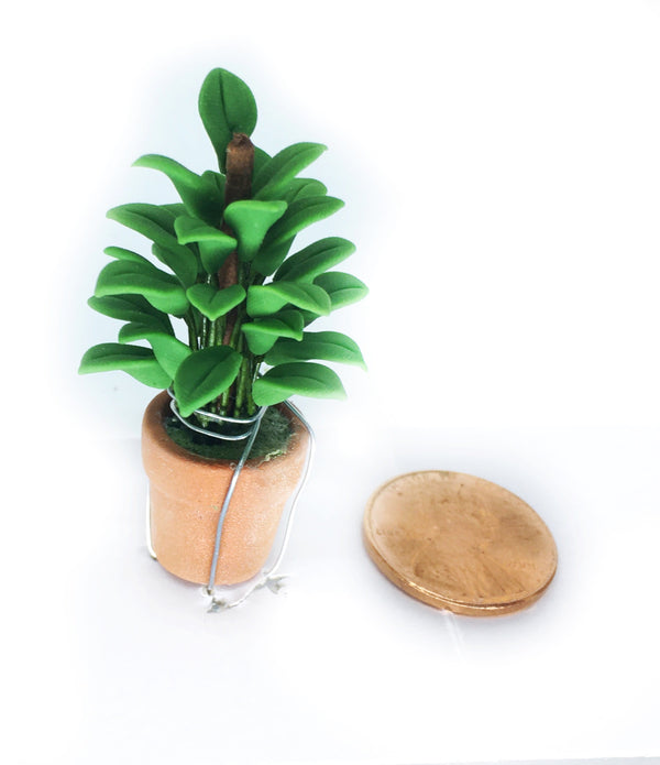 Choice of Artificial Philodendron or Fern