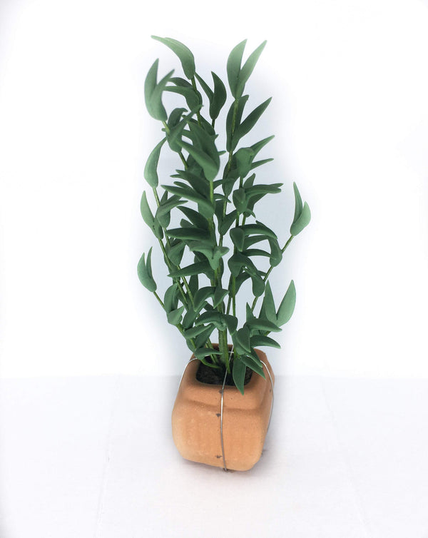 Dollhouse Potted Palm Plant Choice