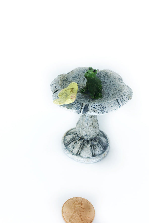 Toad Fairy Garden Kit