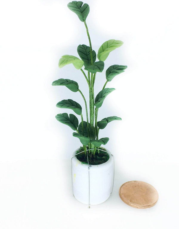 Dollhouse Potted Palm Plant Choice