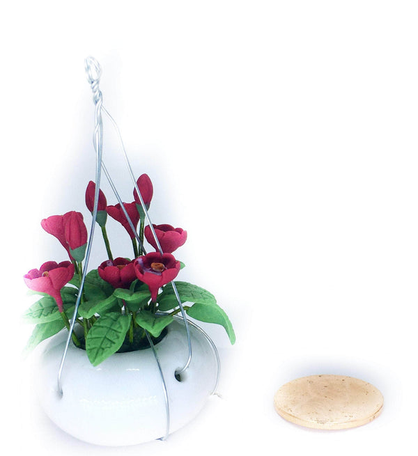 Choice of Hanging Plants in White Ceramic Pots