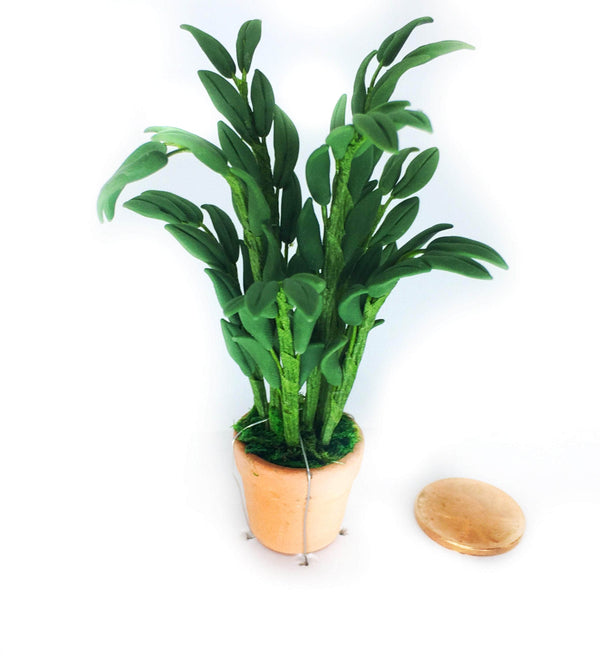 Dollhouse Potted Palm Plant Choice