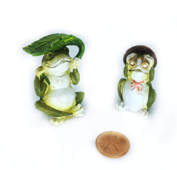 Toad Fairy Garden Kit