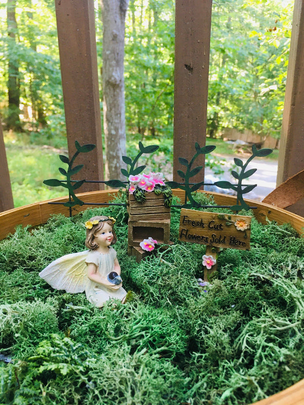 Flowers for Sale Fairy Garden Kit