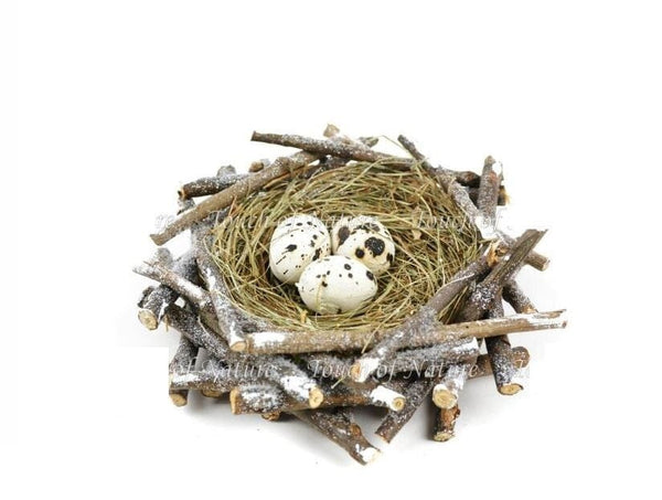 Yellow and Gray Bird with Nest and Spotted Eggs, Stick Nest with a Clip-on Bird