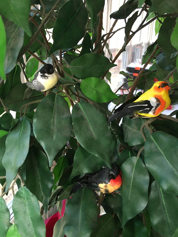 Artificial Bird Set, 3.25