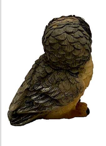 Miniature Brown and Gray Owl, 1