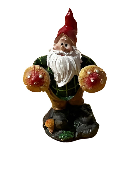 Miniature Gnome Standing with 2 Mushrooms, Fairy Garden Gnome, 3