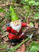 Fairy Garden Gnome with a Welcome Sign