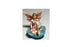 Miniature Pink Wing Fairy Sitting on a Blue Flower