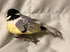 files/il_fullxfull.7913521830_cpo6.jpg