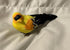 files/il_fullxfull.7957599315_4oxs.jpg