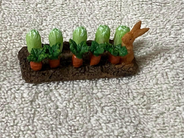 Miniature Rabbit in the Vegetable Garden