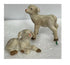 Miniature Pair of Sheep