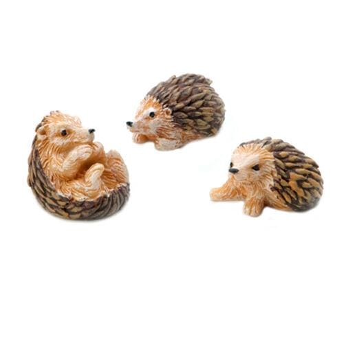 Miniature Hedgehog Set