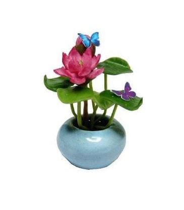 Choice of Dollhouse Water Lilies in a Bowl