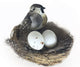 Artificial Nest with 3" Guinea Bird, 2 Eggs and Feathers, Bird Nest Kit