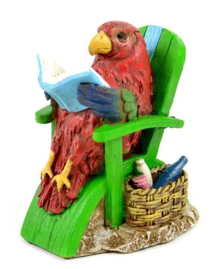 Beach Parrot Sitting Reading