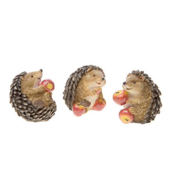 Hedgehog Eating  1 Apple