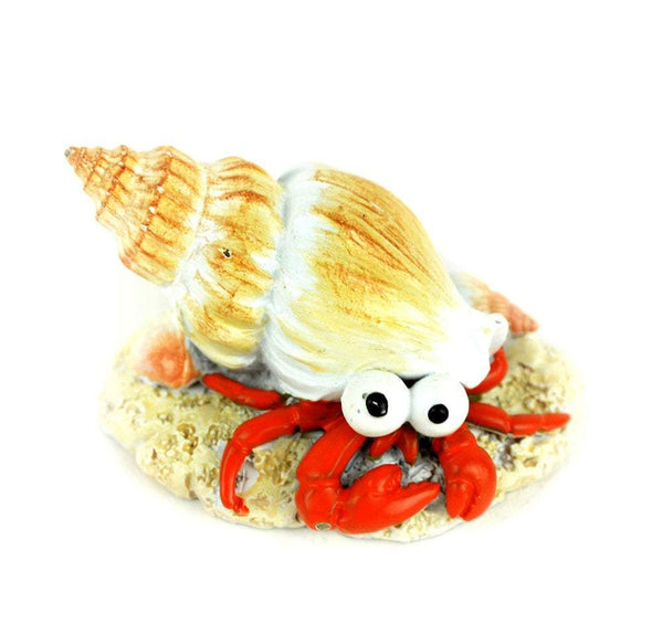 Crab in Tan Conch Shell