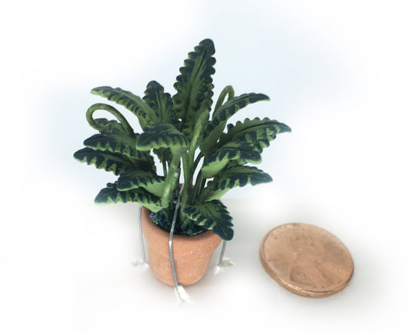 Choice of Artificial Philodendron or Fern