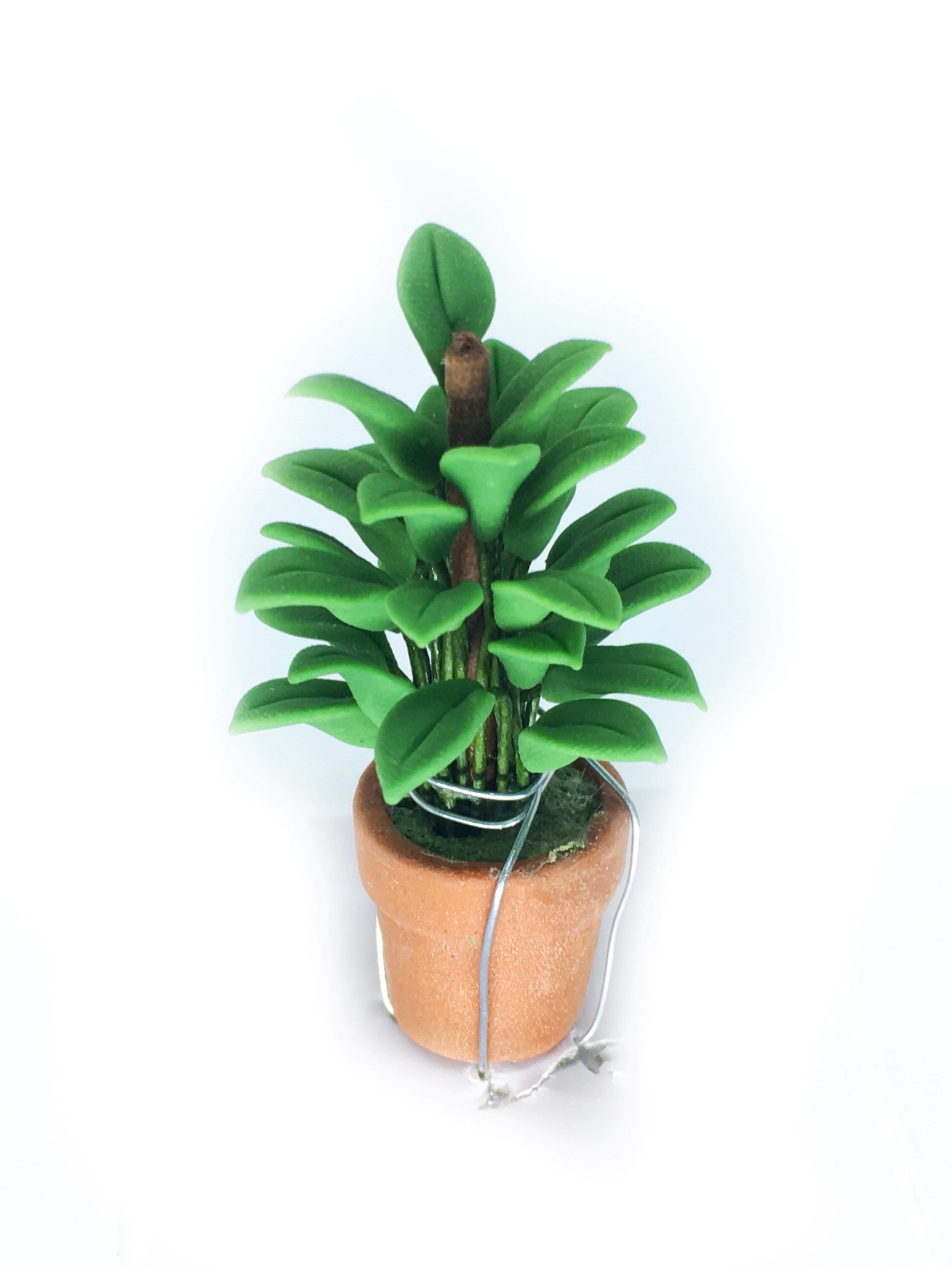 artificial philodendron Choice of Artificial Philodendron or Fern