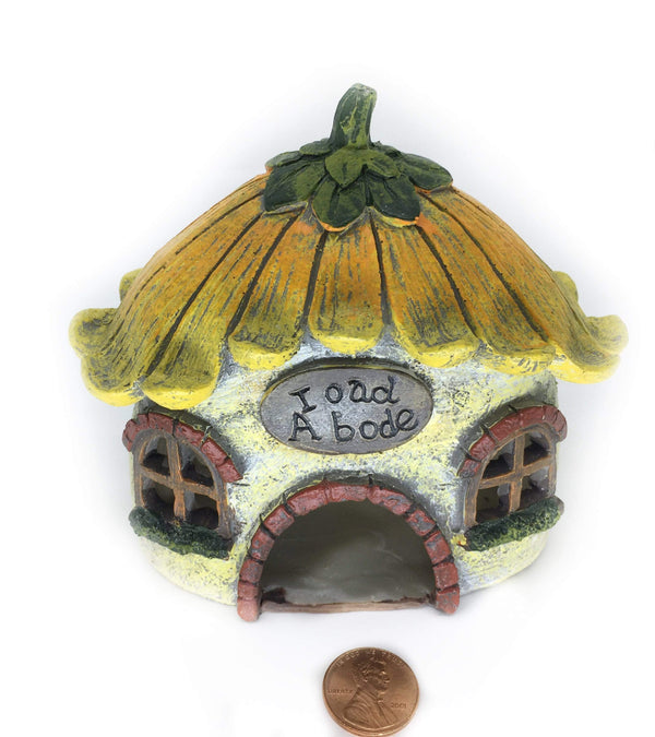 Toad Fairy Garden Kit