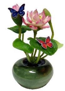 Choice of Dollhouse Water Lilies in a Bowl