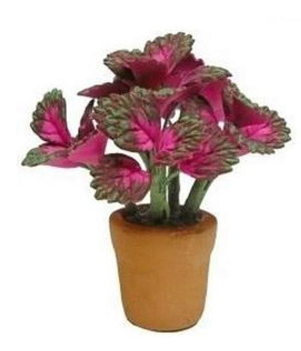 Choice of Miniature Artificial  Coleus Plant