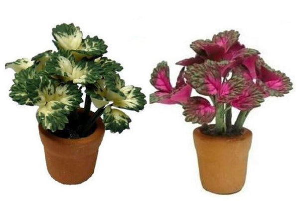 Choice of Miniature Artificial  Coleus Plant