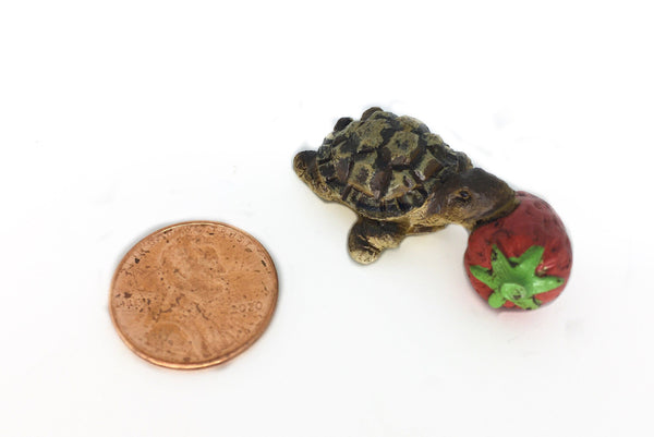 Miniature Turtle with a Strawberry, Tommy the Turtle, Terrarium Micro Mini Turtle