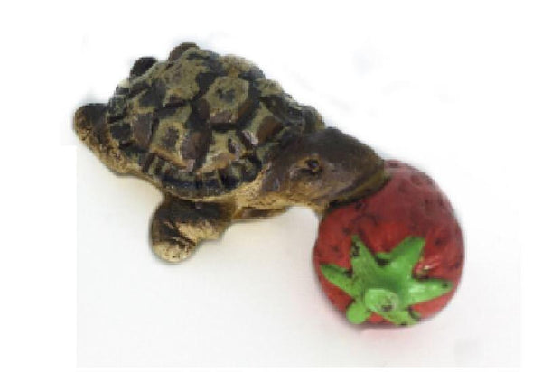 Miniature Turtle with a Strawberry, Tommy the Turtle, Terrarium Micro Mini Turtle