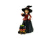 Halloween Witch with a Cauldron,