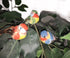 Set of 6 Brightly Colored Artificial  Birds, Blue, Green and Orange Birds on a Clip,  2.75" Birds
