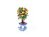Miniature Potted Orange Tree, Artificial Tree in a Porcelain Planter, Dollhouse Accessory
