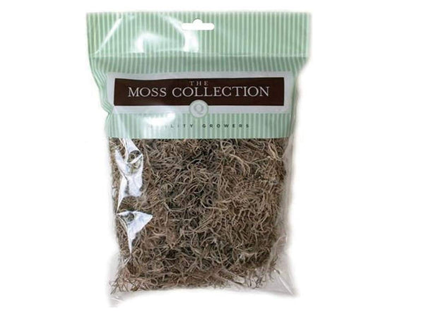 Light Brown Spanish Moss, Natural Moss for Fairy Gardens, Crafts and Floral Decor